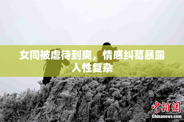 女同被虐待到爽，情感纠葛暴露人性复杂