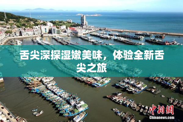舌尖深探湿嫩美味，体验全新舌尖之旅
