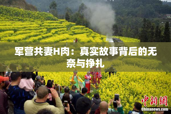 军营共妻H肉：真实故事背后的无奈与挣扎