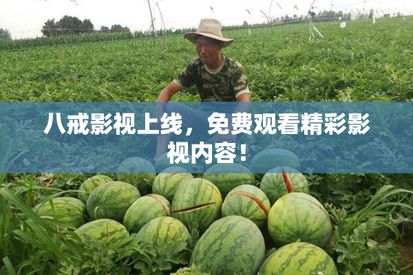 八戒影视上线，免费观看精彩影视内容！