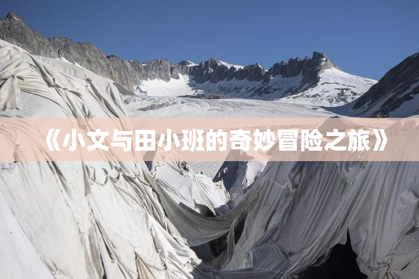 《小文与田小班的奇妙冒险之旅》