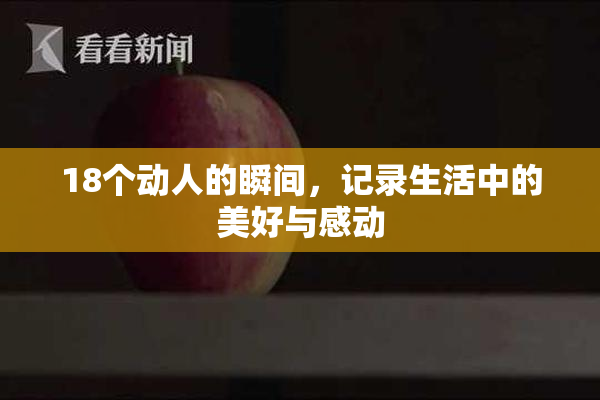 18个动人的瞬间，记录生活中的美好与感动