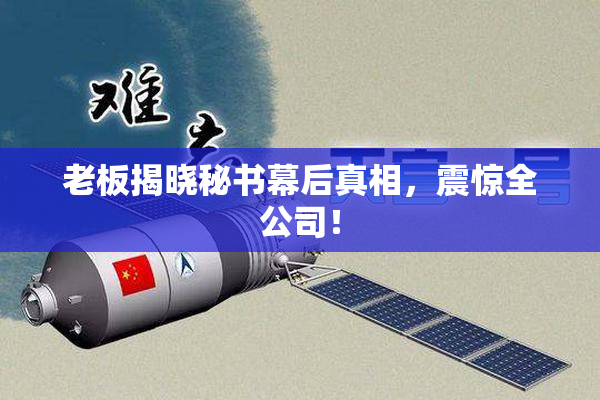 老板揭晓秘书幕后真相，震惊全公司！