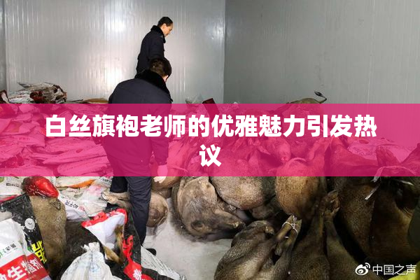 白丝旗袍老师的优雅魅力引发热议