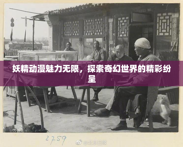 妖精动漫魅力无限，探索奇幻世界的精彩纷呈