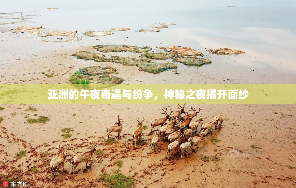 亚洲的午夜奇遇与纷争，神秘之夜揭开面纱