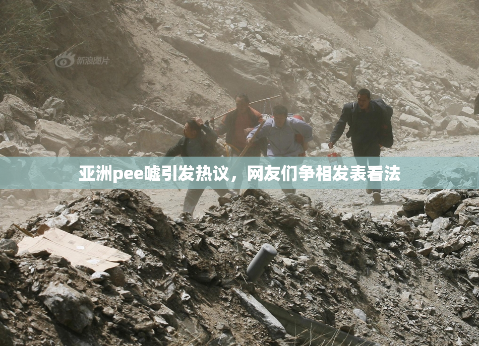 亚洲pee嘘引发热议，网友们争相发表看法