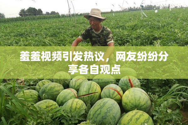 羞羞视频引发热议，网友纷纷分享各自观点