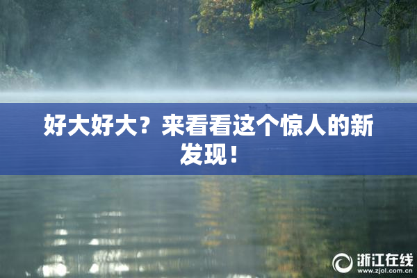 好大好大？来看看这个惊人的新发现！