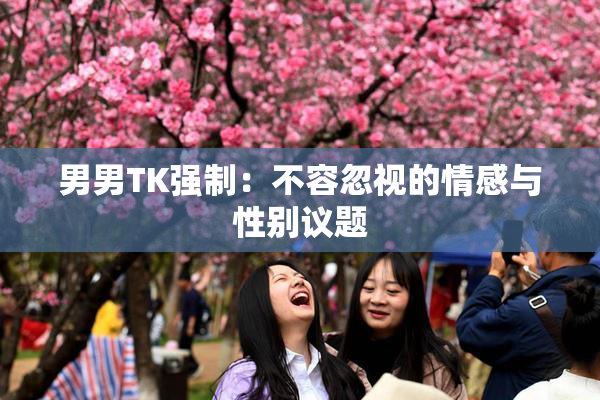 男男TK强制：不容忽视的情感与性别议题