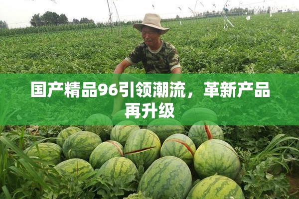 国产精品96引领潮流，革新产品再升级