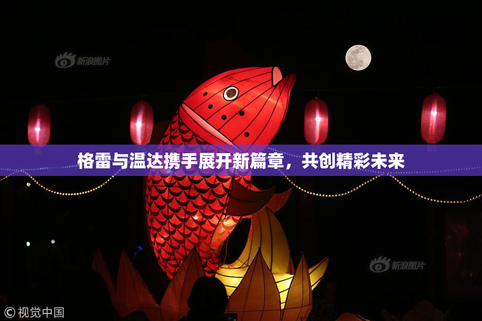 格雷与温达携手展开新篇章，共创精彩未来