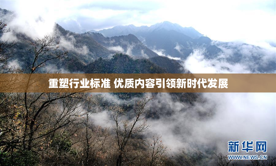 重塑行业标准 优质内容引领新时代发展