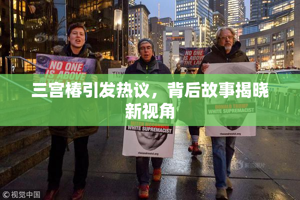 三宫椿引发热议，背后故事揭晓新视角