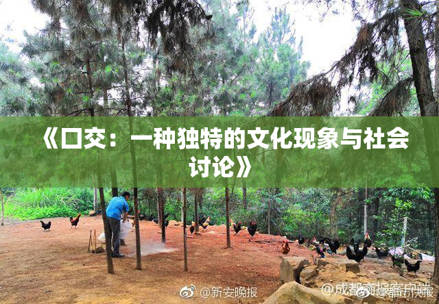 《囗交：一种独特的文化现象与社会讨论》