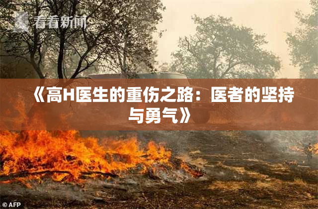 《高H医生的重伤之路：医者的坚持与勇气》