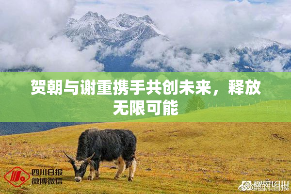 贺朝与谢重携手共创未来，释放无限可能