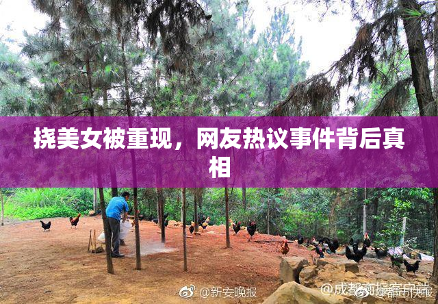 挠美女被重现，网友热议事件背后真相