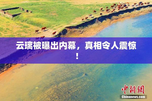 云璃被曝出内幕，真相令人震惊！
