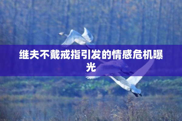 继夫不戴戒指引发的情感危机曝光