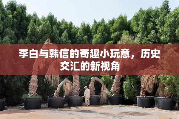 李白与韩信的奇趣小玩意，历史交汇的新视角