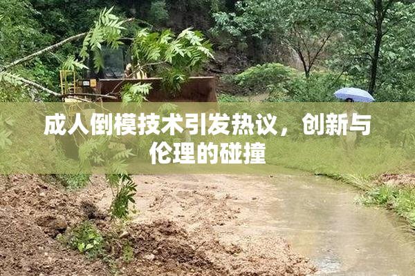 成人倒模技术引发热议，创新与伦理的碰撞
