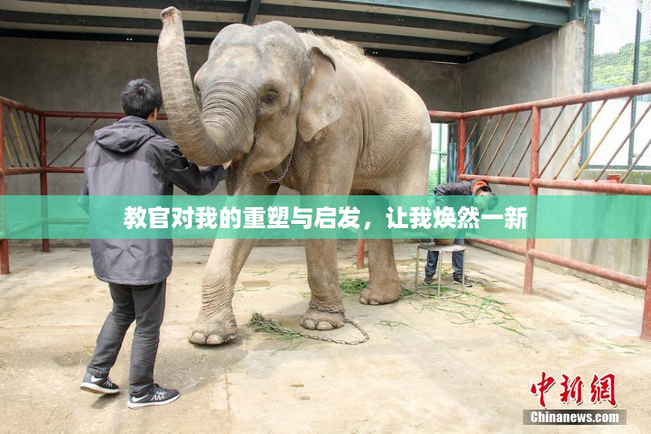 教官对我的重塑与启发，让我焕然一新