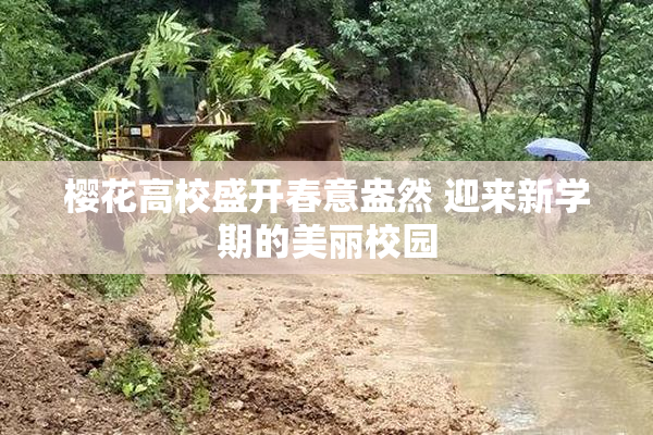 樱花高校盛开春意盎然 迎来新学期的美丽校园