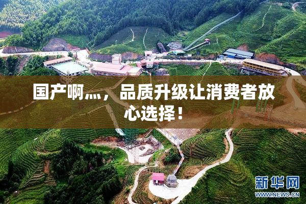 国产啊灬，品质升级让消费者放心选择！