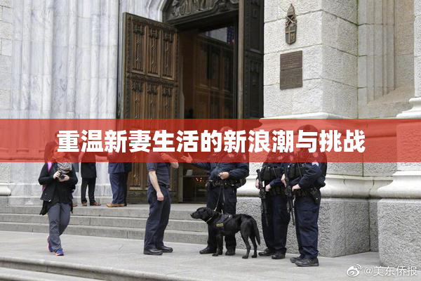 重温新妻生活的新浪潮与挑战