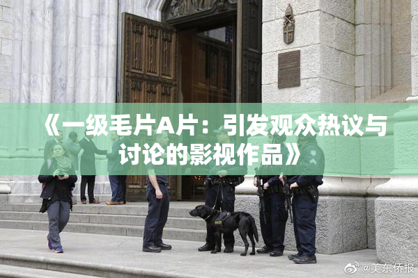 《一级毛片A片：引发观众热议与讨论的影视作品》