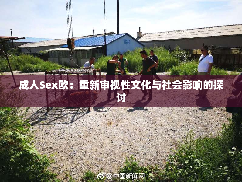 成人Sex欧：重新审视性文化与社会影响的探讨