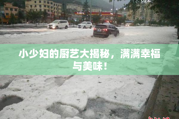 小少妇的厨艺大揭秘，满满幸福与美味！