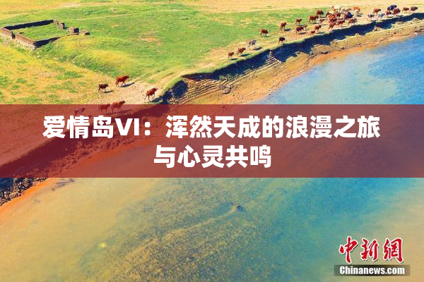 爱情岛VI：浑然天成的浪漫之旅与心灵共鸣