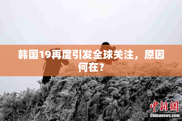 韩国19再度引发全球关注，原因何在？