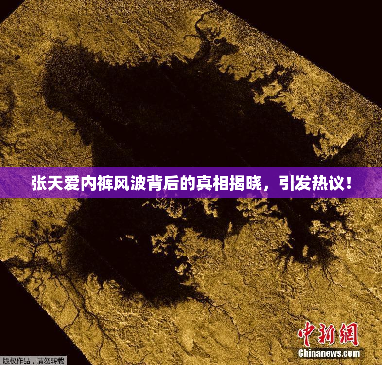 张天爱内裤风波背后的真相揭晓，引发热议！