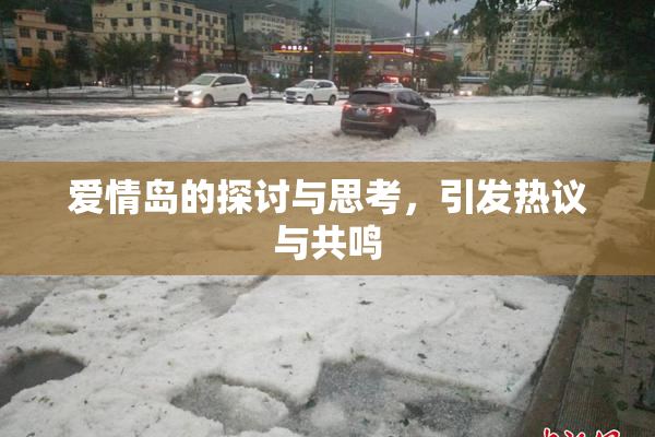 爱情岛的探讨与思考，引发热议与共鸣