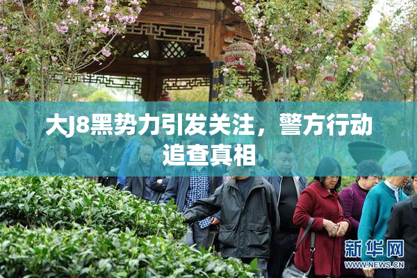 大J8黑势力引发关注，警方行动追查真相