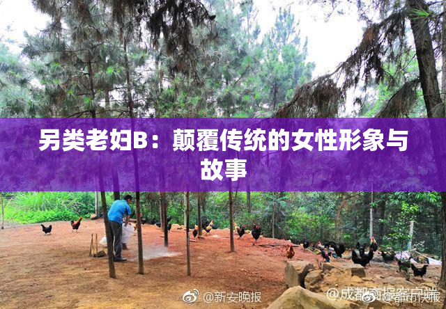 另类老妇B：颠覆传统的女性形象与故事