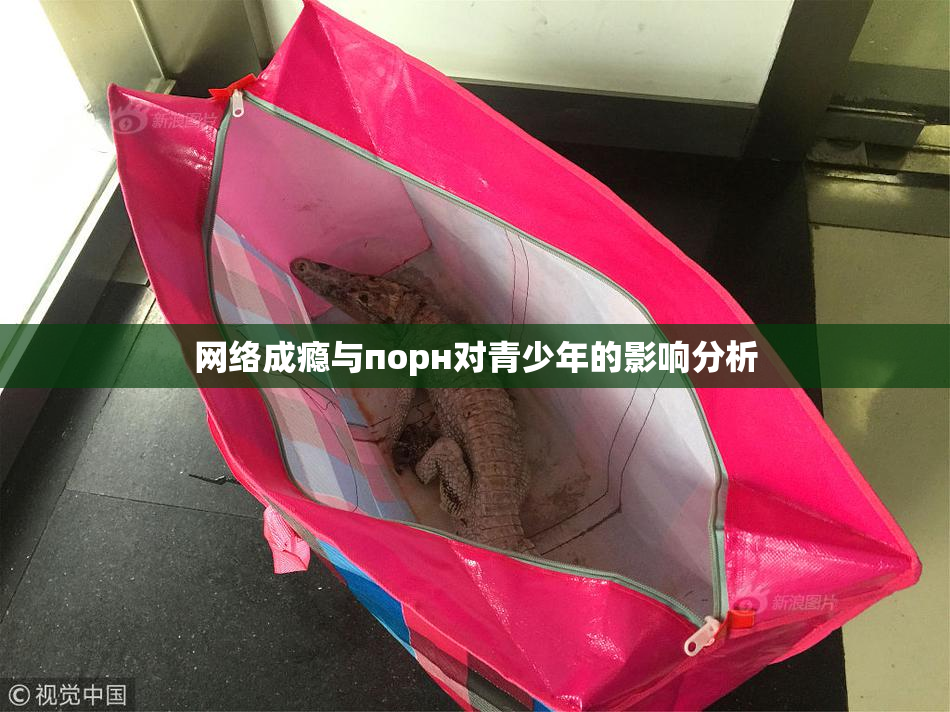 网络成瘾与порн对青少年的影响分析