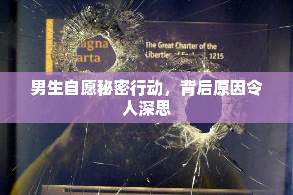 男生自愿秘密行动，背后原因令人深思