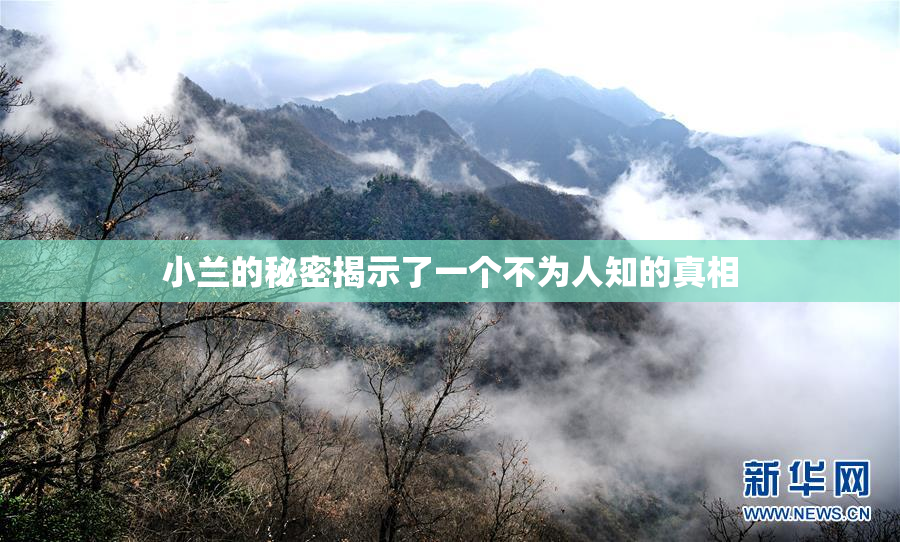 小兰的秘密揭示了一个不为人知的真相