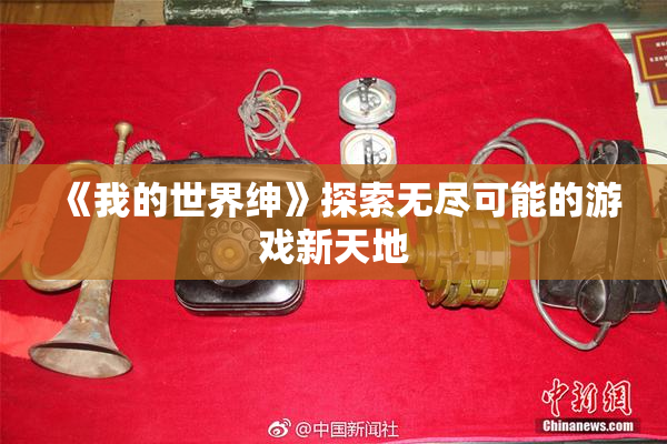《我的世界绅》探索无尽可能的游戏新天地