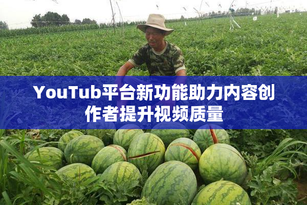 YouTub平台新功能助力内容创作者提升视频质量
