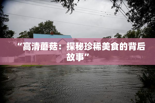 “高清蘑菇：探秘珍稀美食的背后故事”