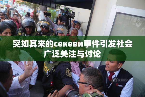 突如其来的ceкеви事件引发社会广泛关注与讨论