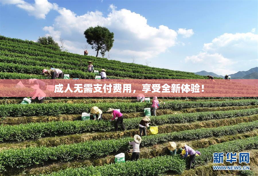 成人无需支付费用，享受全新体验！