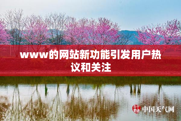 www的网站新功能引发用户热议和关注