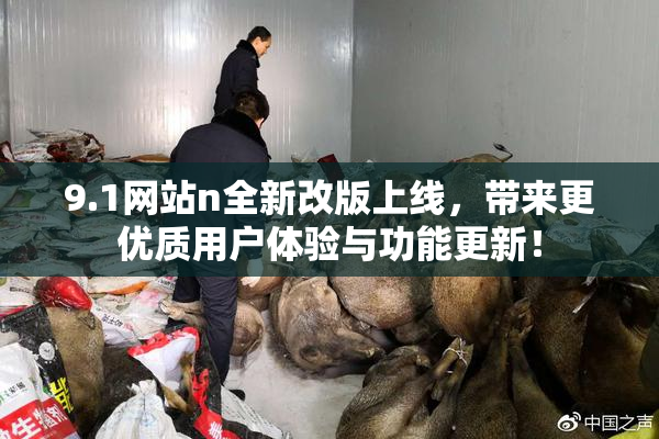 9.1网站n全新改版上线，带来更优质用户体验与功能更新！
