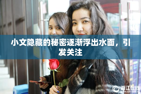 小文隐藏的秘密逐渐浮出水面，引发关注